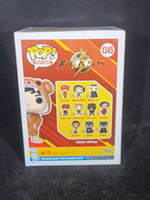 Load image into Gallery viewer, Barry Allen