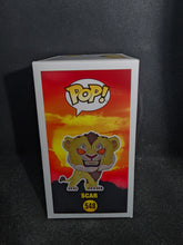 Load image into Gallery viewer, Scar