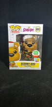 Load image into Gallery viewer, Scooby-Doo Funko Exclusive X-Mas Edition