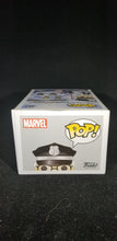 Load image into Gallery viewer, Stan Lee (Smithsonian Guard) **Walmart Exclusive**