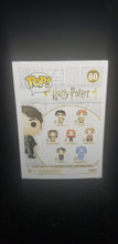 Load image into Gallery viewer, Tom Riddle (Sepia) **Target Exclusive**