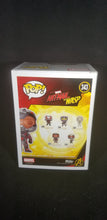 Load image into Gallery viewer, Hank Pym
