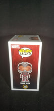 Load image into Gallery viewer, Hank Pym
