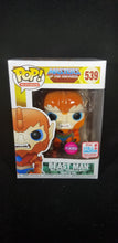 Load image into Gallery viewer, Beast Man - (Flocked) **NYCC &amp; Toys R US Exclusive**
