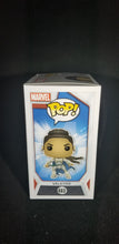 Load image into Gallery viewer, Valkyrie **Marvel Collector Corps Exclusive**
