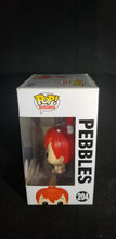 Load image into Gallery viewer, Pebbles **Funko Shop Exclusive**
