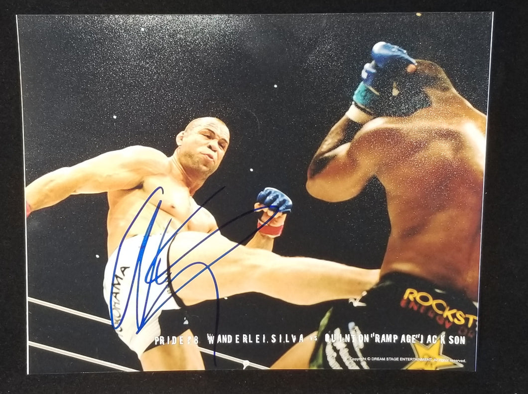 Wanderlei Silva Pride Kick