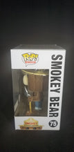 Load image into Gallery viewer, Smokey Bear (Flocked) ** Hot Topic Exclusive**
