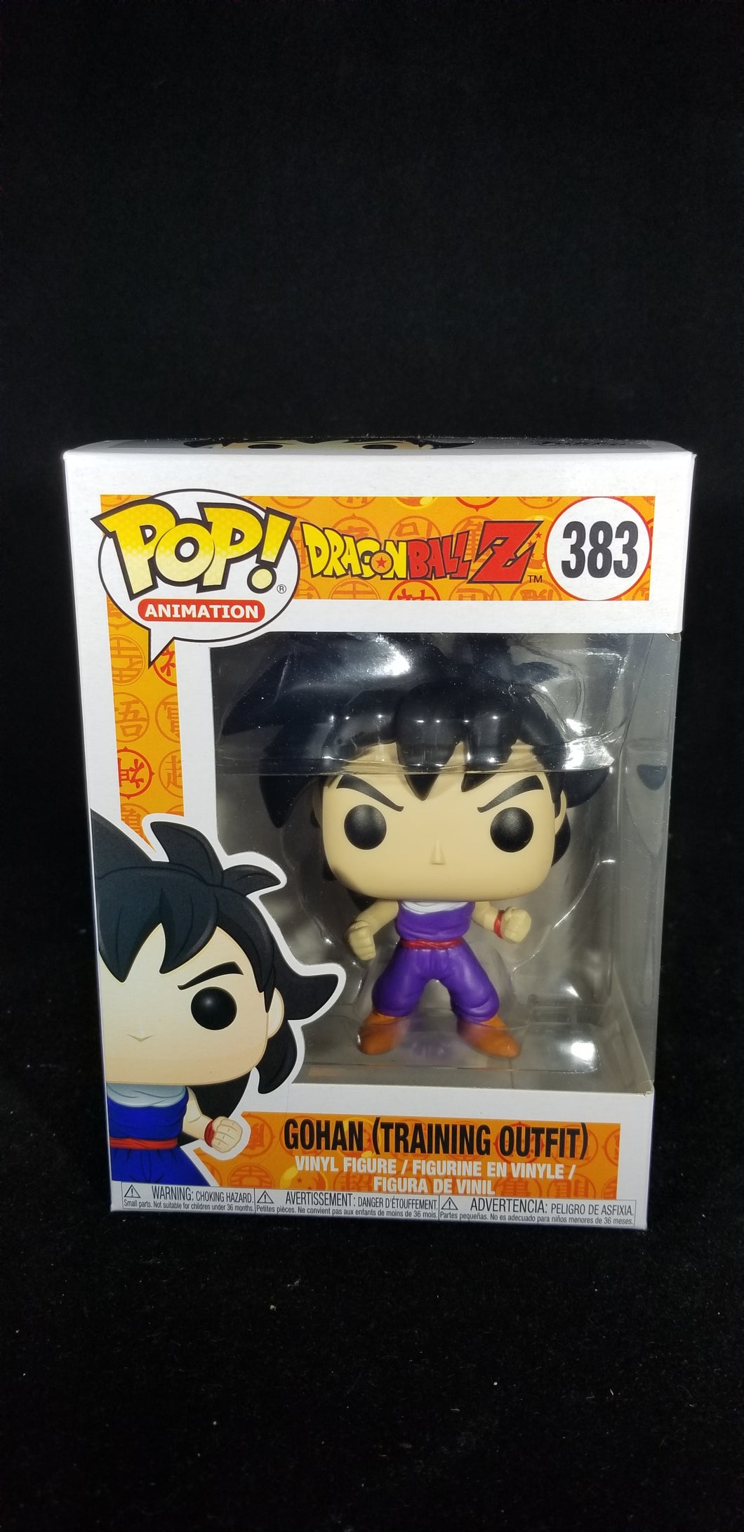 Gohan (Training Outfit)