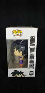 Gohan (Training Outfit)