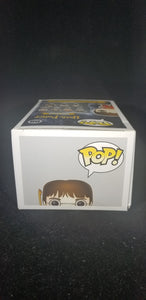 Harry Potter (Quidditch) **Hot Topic Exclusive**