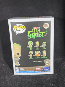 Groot with Grunds